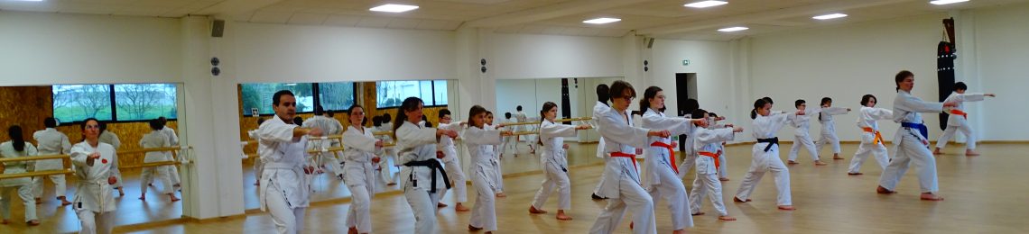 Entraînement de Karate-do au Hombu Dojo NSKF France à Pléneuf-Val-André