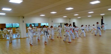 Entraînement de Karate-do au Hombu Dojo NSKF France à Pléneuf-Val-André