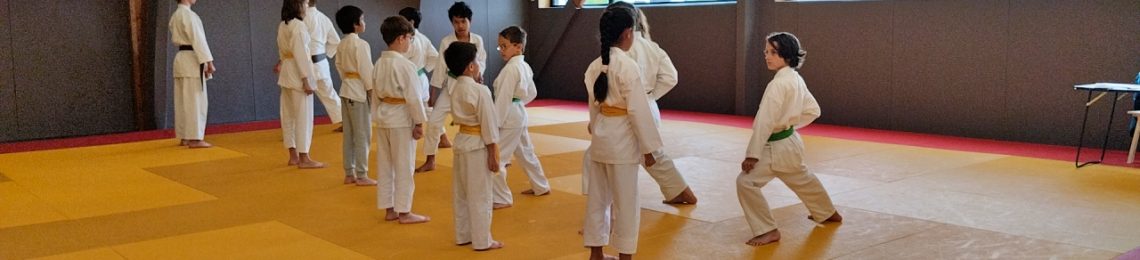 Cours de Karate-do enfants à NSKF Pléneuf-Val-André !