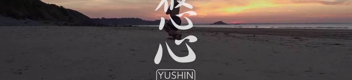 Yūshin Budō, arts martiaux, Yoga, respiration et méditation